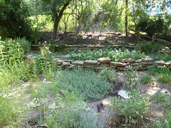 8173913137_8a6d164b11_m