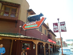 8173986459_0770c445b2_m