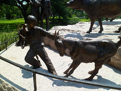 8177134306_d01641b6f6_m