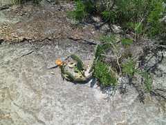 8177499344_2e67d68c1f_m