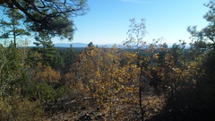 15179627374_df97e796bf_m