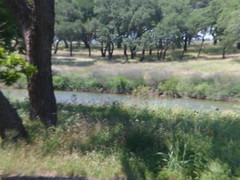 8177608527_1192bbc540_m