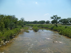 8177627080_dc8b4213ac_m