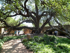 8181208663_f20b211f7e_m