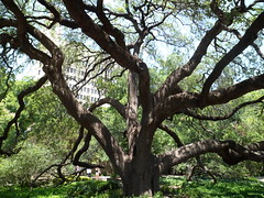 8181215041_d48ce3525a_m