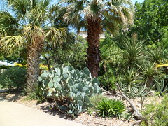 8181243483_f103634904_m