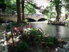 8183731969_f61ce7dc8b_m