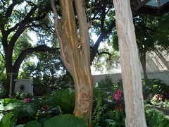 8184144446_2b009f1dfb_m