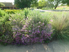 8184169059_5bd586dc03_m