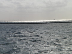 8186485899_1ac612de70_m