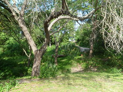 8187508720_e9d8ae9b11_m