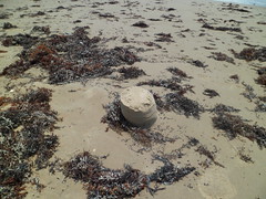 8188843039_a4e136d3ff_m