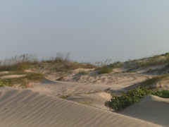 8188905697_7c460004a8_m