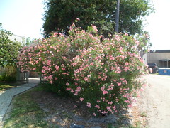 8188924627_3eb3db6c67_m