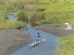 8188928416_d5e2f3a82e_m