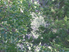 8189088539_d35e99b092_m