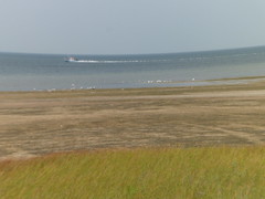 8189883946_b70c3d1c80_m