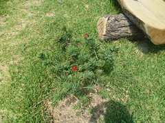 8189886746_82fcde758a_m