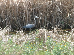 8189895638_a7d63f1b01_m (1)