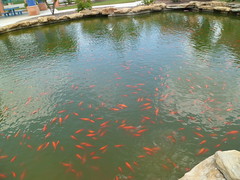 8190210582_e1abb0dc3b_m