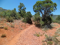 8206034199_aef027bd42_m