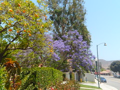 8206385678_98589a8329_m