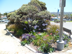 8206422586_c2ca6b07cf_m