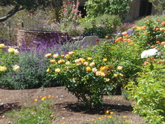 8206754816_3d9e8bf395_m