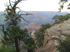 8232627205_e0b8789b5e_m