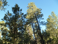 8232655755_555118b0e8_m