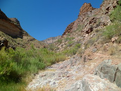 8232829697_d9e52b1fc0_m