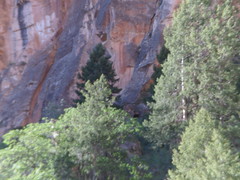 8232858315_c7c8ceb009_m