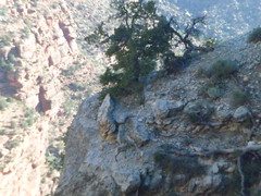 8232872413_e5e36002e3_m