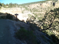 8232873759_a3591226cc_m