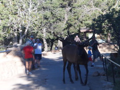 8232878851_0194534473_m