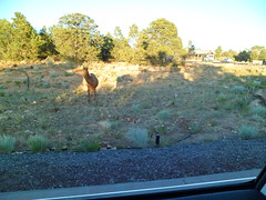 8233716502_3c7d9077d6_m