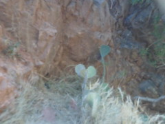 8233876234_f9b779968f_m