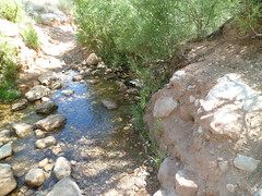 8233895848_2e59ea4814_m