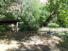 8233907812_354fd4d6a1_m