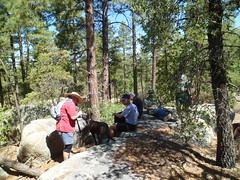 8233990476_4f21ba26de_m