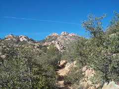 8274111408_541bac3af9_m