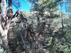 8274113596_5db4788a47_m