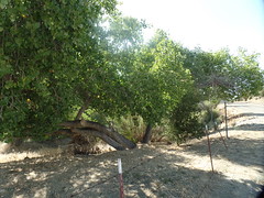 22288130480_c073bb2f93_m