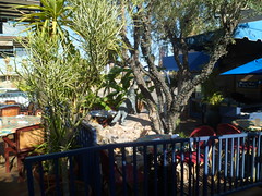 8233080645_d83b209039_m