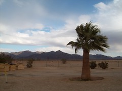 8288608156_16ac6105de_m