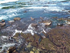 8332608376_0c39be1864_m