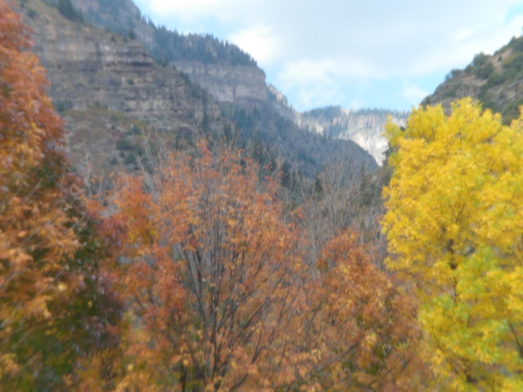 Foliage on east end of Glenwood Canyon, CO
