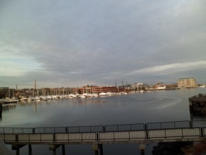 SAM_3622