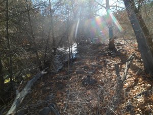 SAM_3701