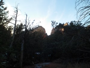 SAM_3720